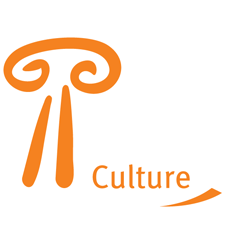 Logo Culture2007